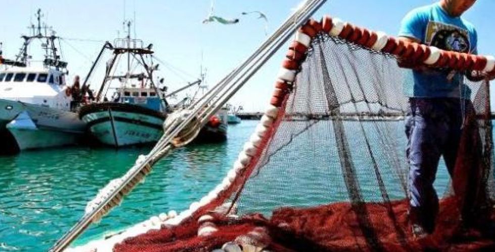 خبراء يدعون لزيادة عمليات الصيد البحري في المياه الإقليمية