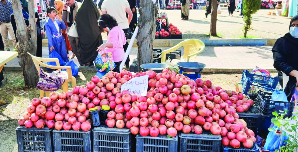 بمشاركة 400 مزارع من محافظات الإقليم اختتام مهرجان رمان وخريف حلبجة السابع 