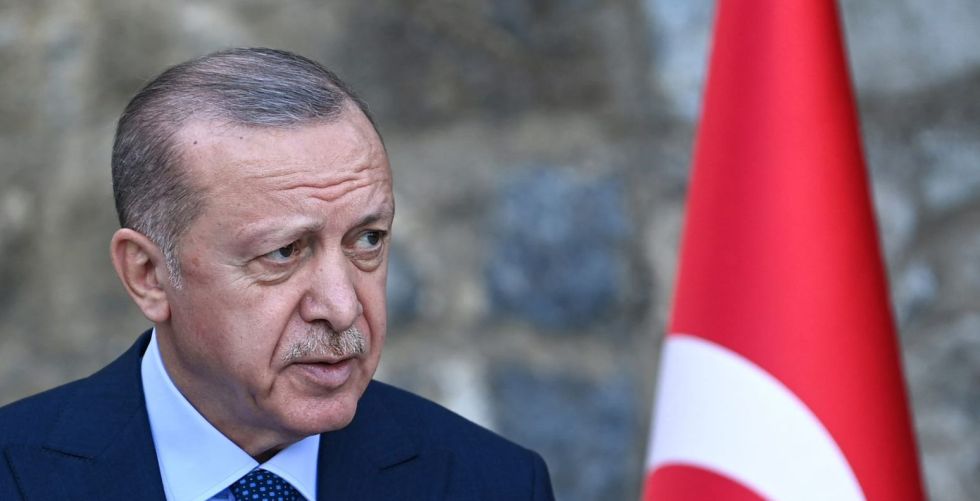معارضون لأردوغان ينتقدون قرار طرد السفراء 