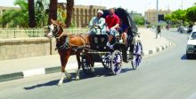 سياحة ركوب الحنطور تعود إلى شوارع القاهرة 